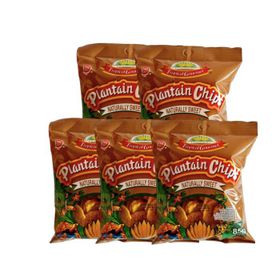 Chips de banane plantain sucrées Tropical Gourmet 5X (85 g)