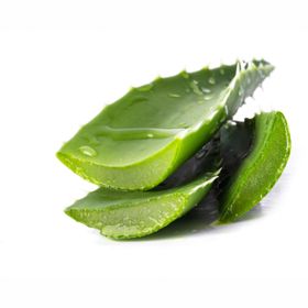 Aloevera Vers Spanje 1st.