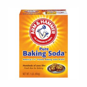 Bicarbonate de soude Arm &amp; Hammer (1 lb/454 g)