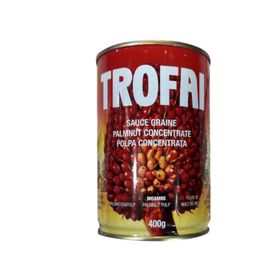 Concentré de noix de palmiste Trofai (400 g)