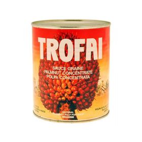 Concentré de noix de palme Trofai (800 g)