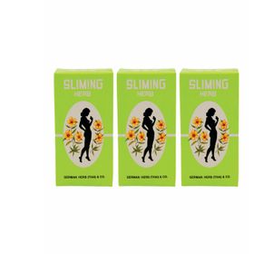 Sliming Slimming Tea Infusion à base de plantes 3X (41 g)
