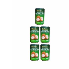 Lait de coco Valcom 5X (400 ml)
