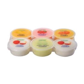 Pudding à la noix de coco (480 g)