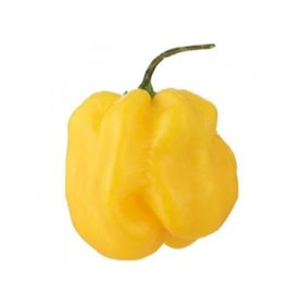 Ajuma Poivre jaune (250 grammes)