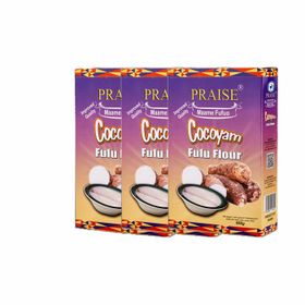 Farine Praise Cocoyam Fufu 3X (680 g)