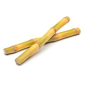 Sucre de canne frais 1st